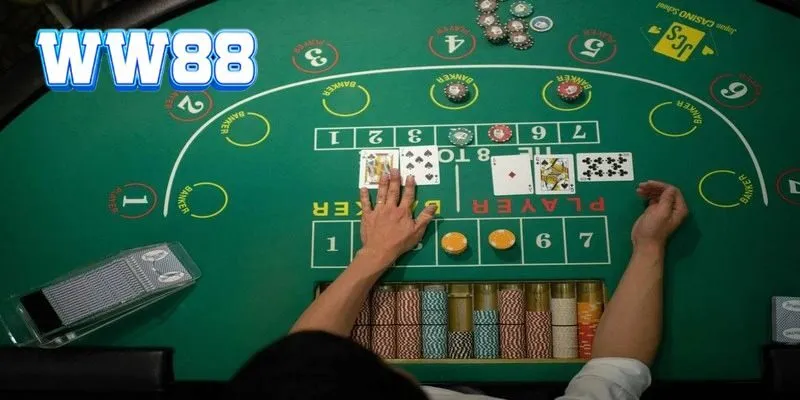 Cách soi cầu Baccarat